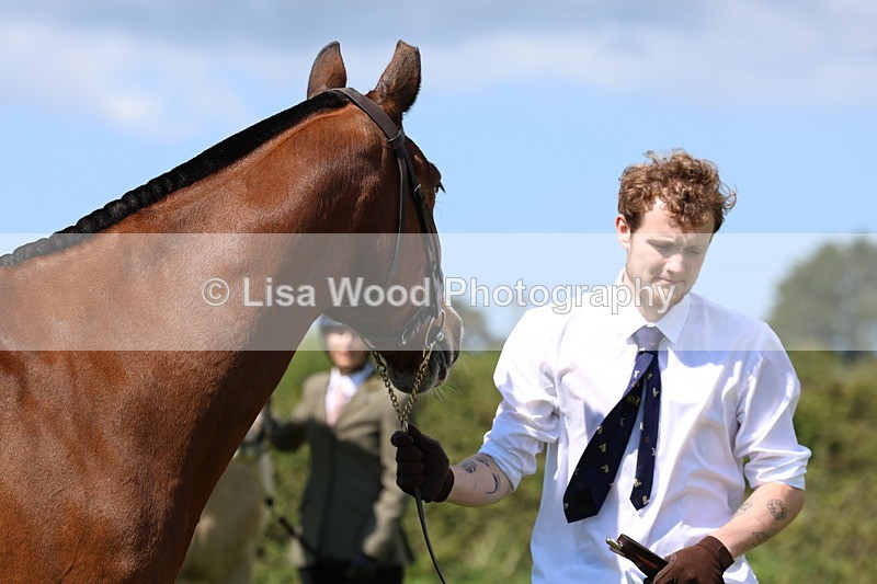 3E7A0360 - Class 19: Best Coloured in Hand