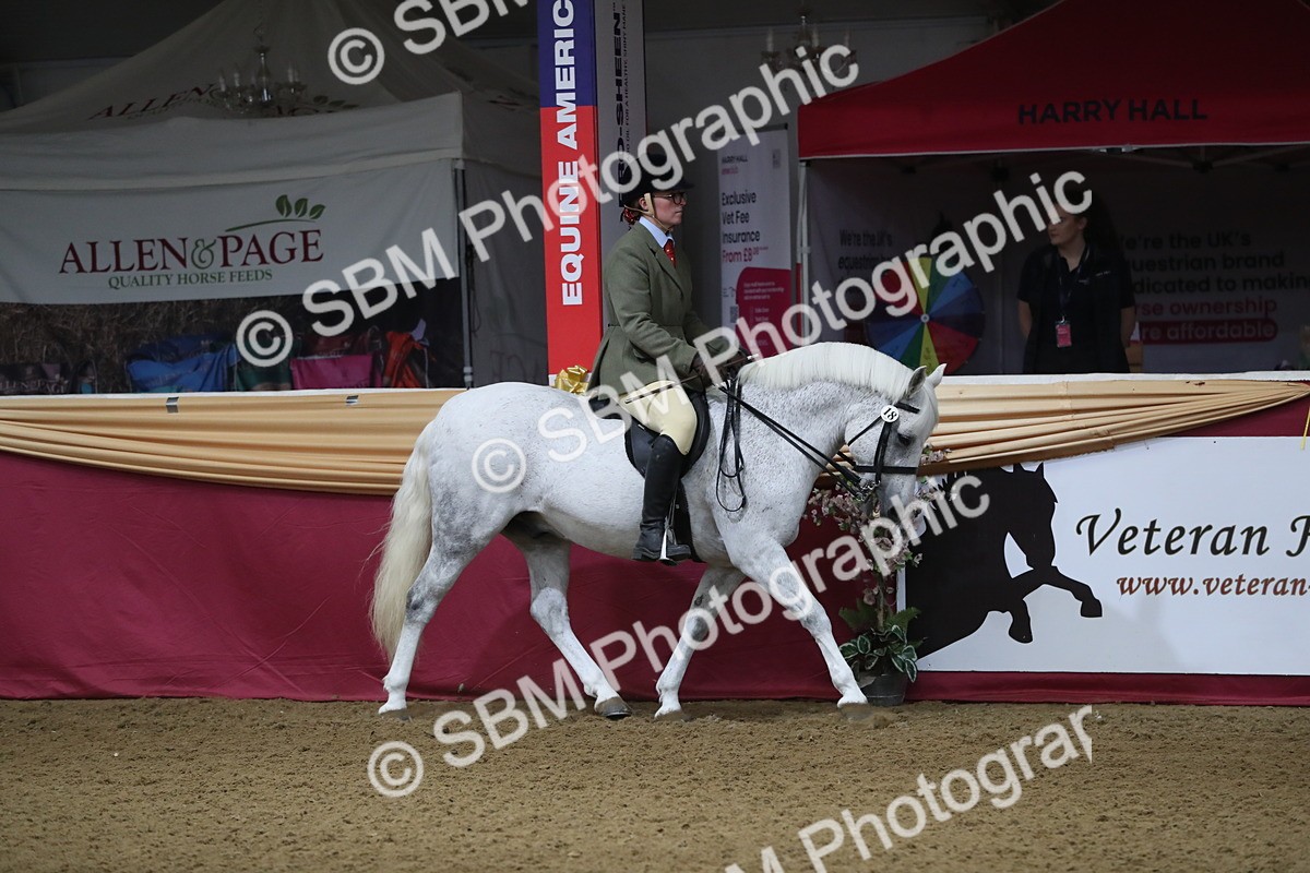 SBM_10323 - Class 102 Equitation (best rider) Adult
