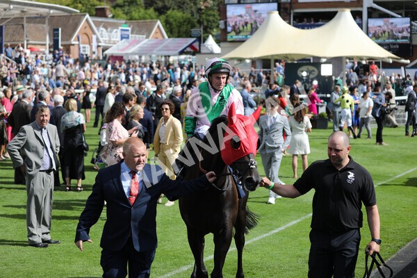 yr19082022r4-33 - Race 4 3.35pm Coolmore Wootton Bassett Nunthorpe Stakes (British Champion Series Race)