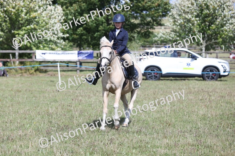 20250831-2830 - Class 18 - Childs First Pony