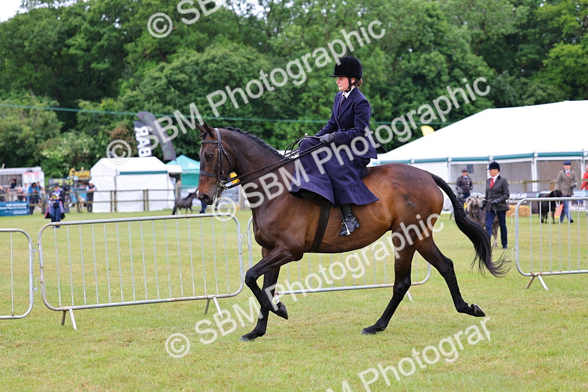 SBM_02735 - Class 9-11 Side Saddle including LIHS Rising Star Ladies Show Horse