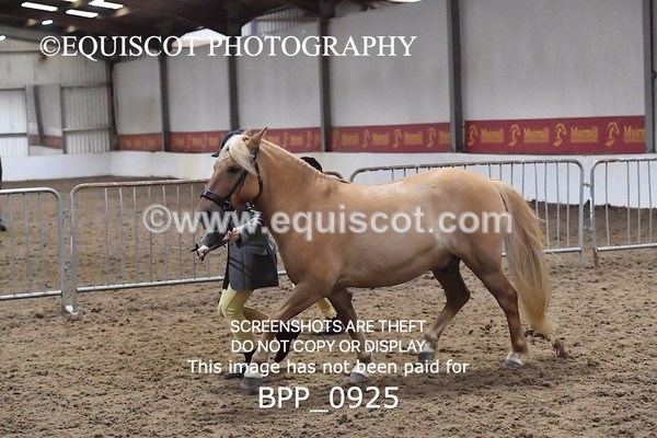 BPP_0925 - RING 1