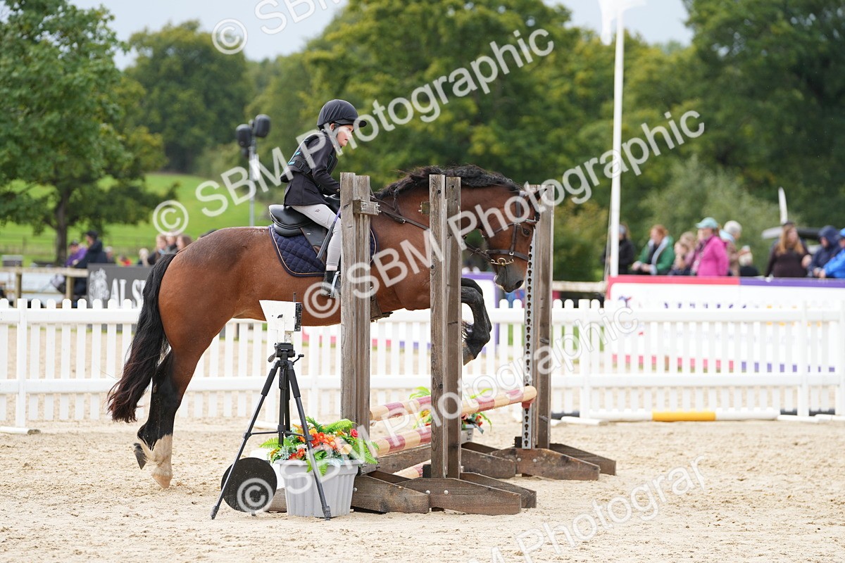 SBM_39801 - J6 - Junior Pony 55cm Championship