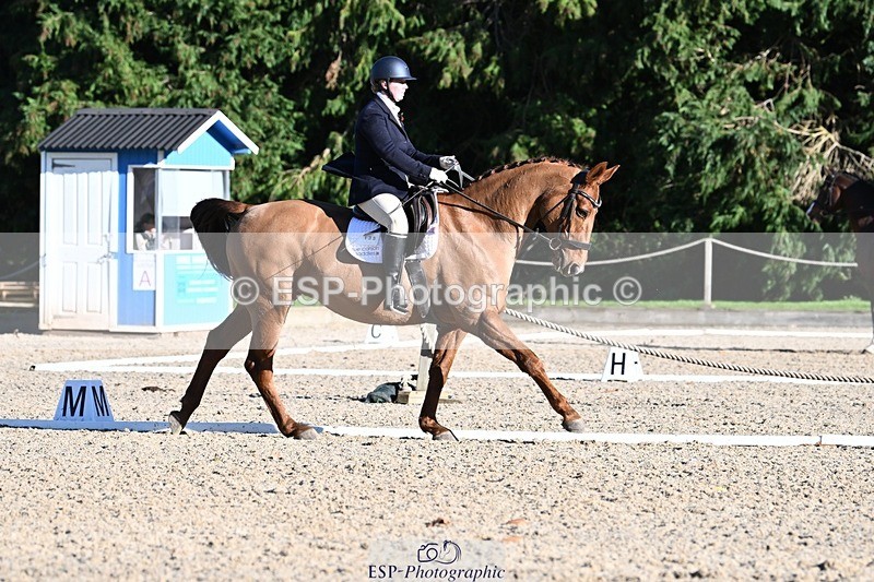 231110-131649-00904 - Cls 4 Novice 39Q