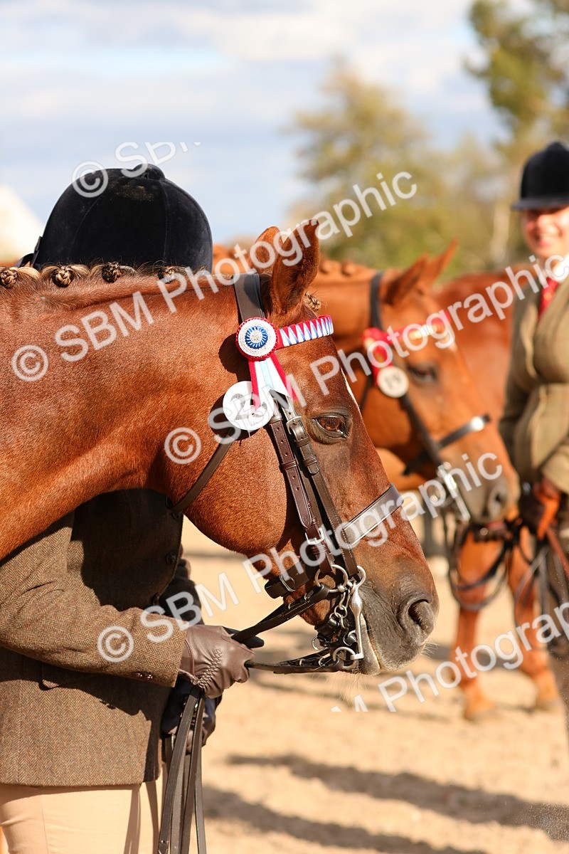 SBM_18400 - Class 318 - IH Part Bred Horse Pony