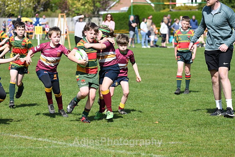  - Selby Rugby Festival 2025