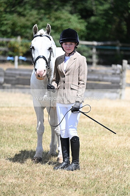 WJ7_2270 - Class 5 Most Handsome Gelding (up to 14.2hh) in hand