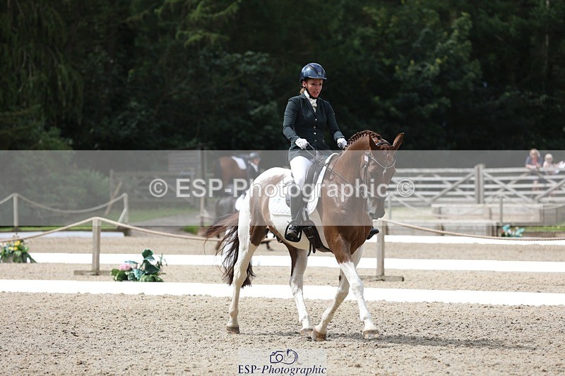 230812-121236-03958 - Cls 5 Novice Bronze 11.15 to 12.50 break
