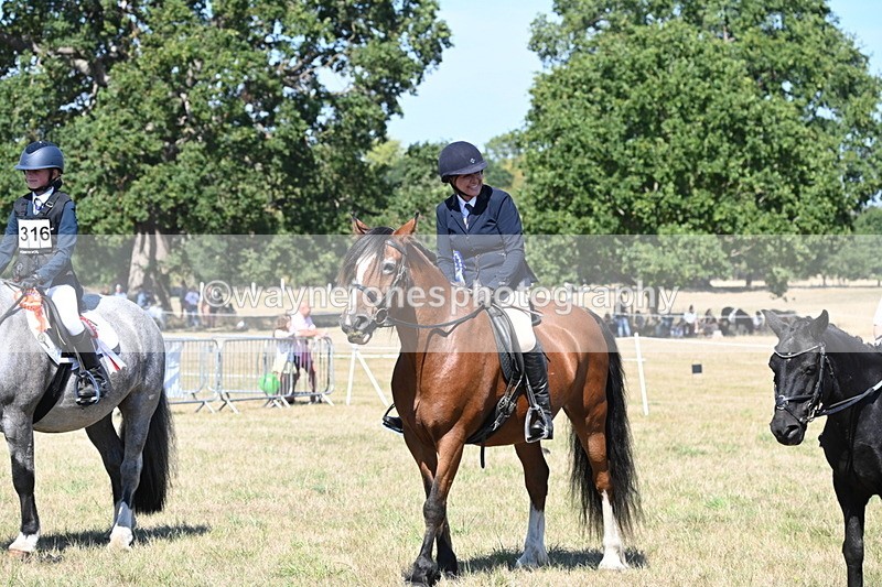WJ6_8481 - Class 37a Best Loan Pony Ridden