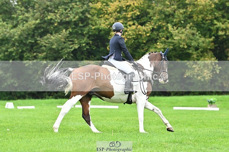 241024-135830-04263 - 331-Amber.Williams-COSMIC.MIKADO