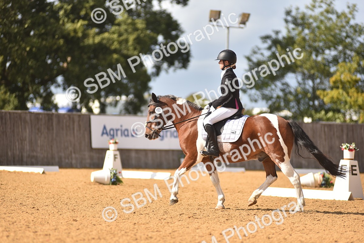 SBM_24253 - D4 - Small Tour Championship Intro 4