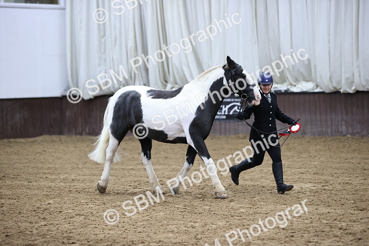 SBM_5333 - Class 32 - In Hand Cob Type