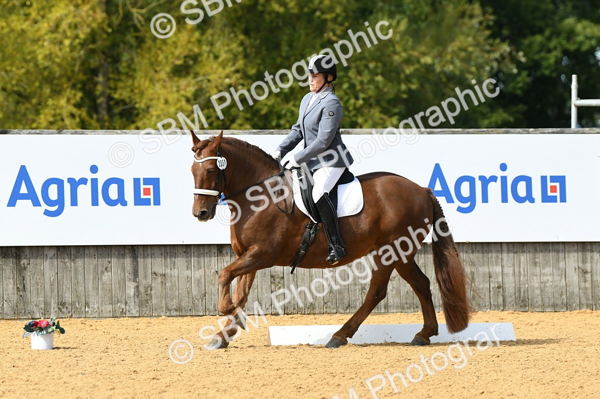 SBM_20914 - D13 - Grand Tour Championship - Prelim 12