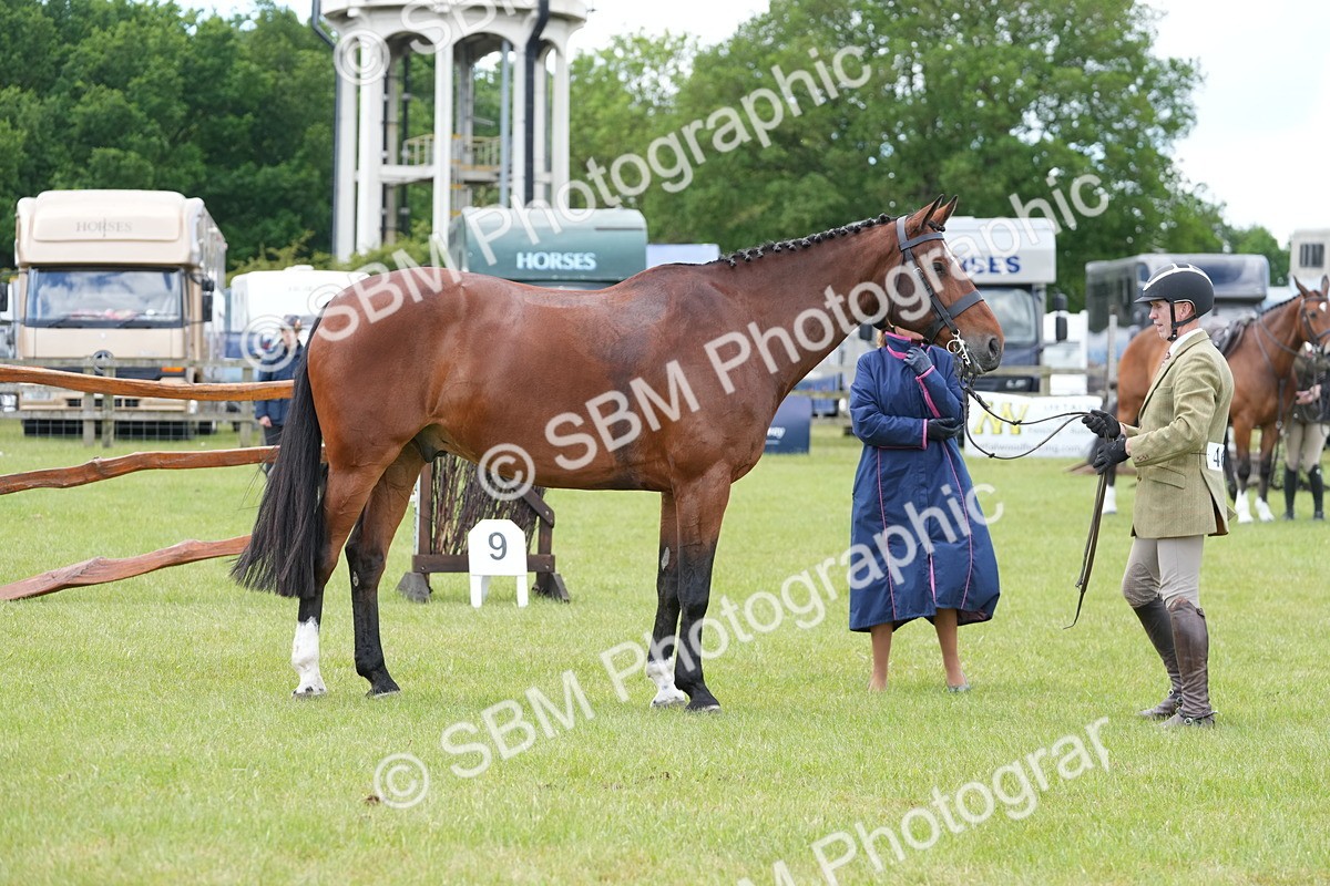 SBM_15041 - Class 100-102 - RIHS Working Hunter