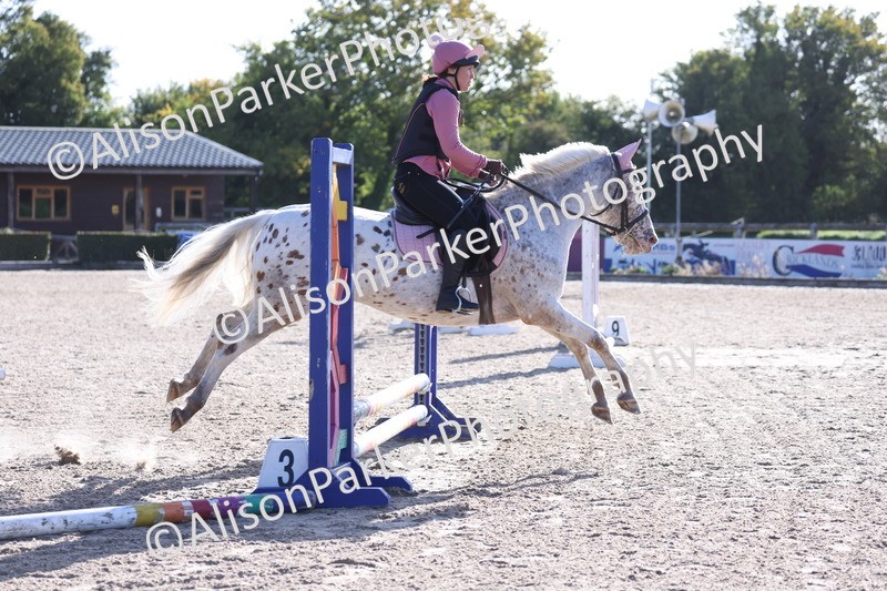 20251005-0102 - Class 2 - 50cm