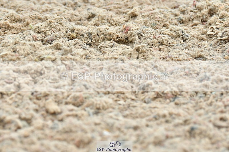 230630A-142108-02540 - Cls 8 Elementary 57