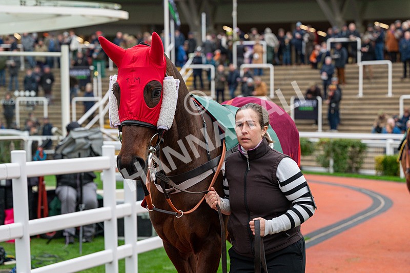 161125-Race 4-Fascile Mode-1617 - Race 4