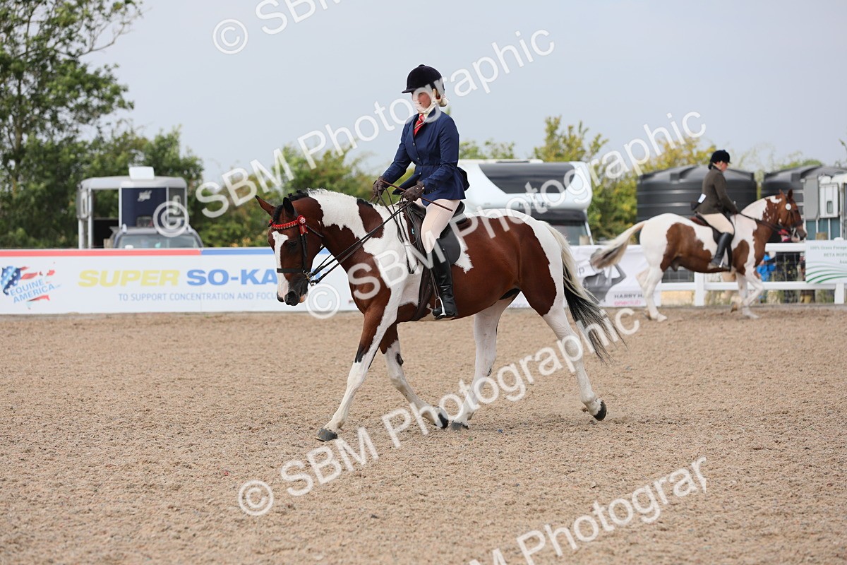 SBM_13356 - Class 308 Ridden Coloured Horse