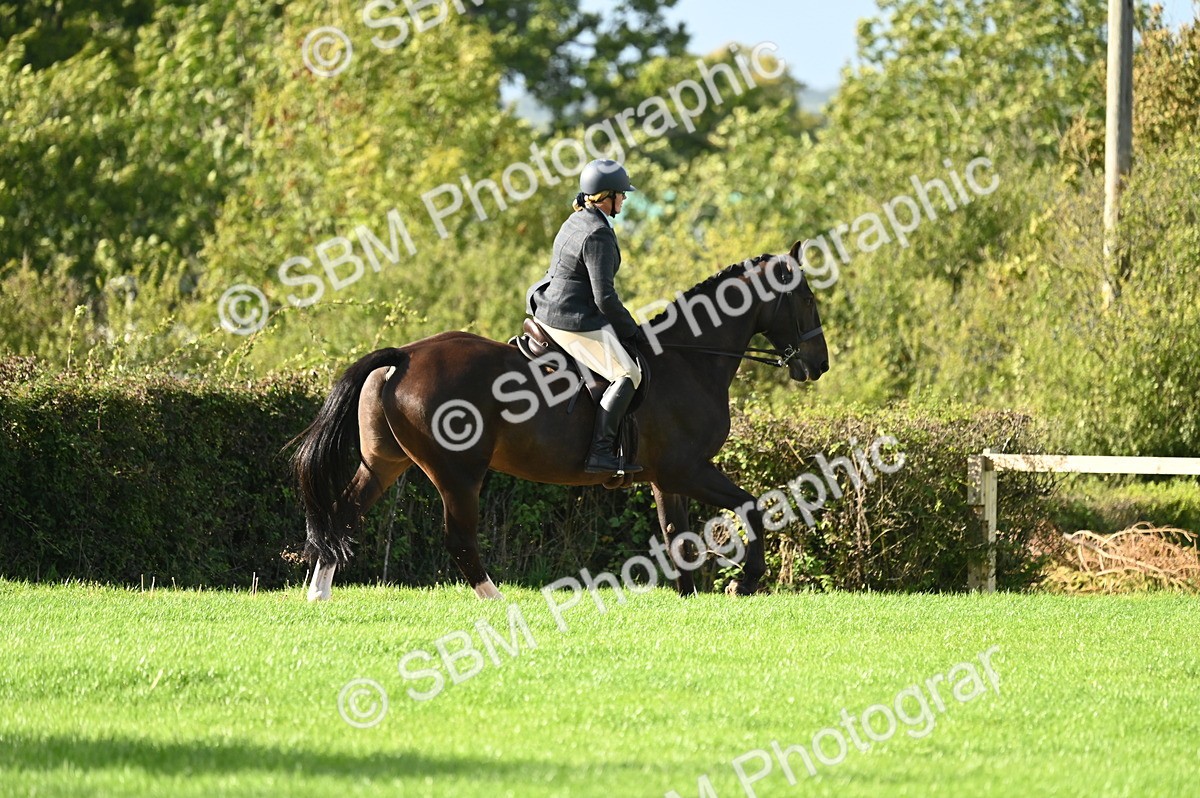 SBM_26431 - S6 - Novice & newcomer Ridden horse
