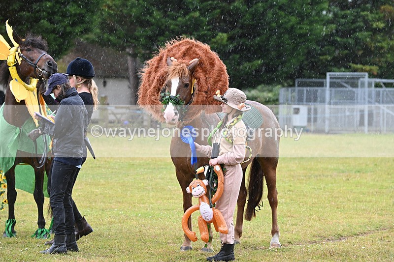 WJ6_9388 - Class 11 Fancy Dress