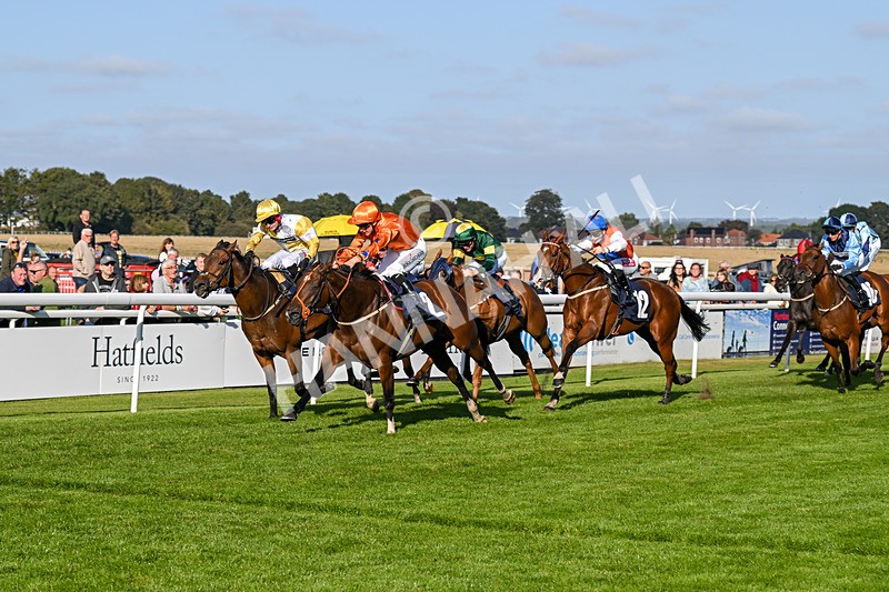 180924-Race 6-Elegant Erin-5040 - Race 6