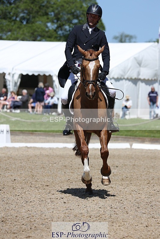 230526-115710-06132 - 157-GODSEND_DU_GIVRE-Henry_Dove-WEDTrotUp+DR
