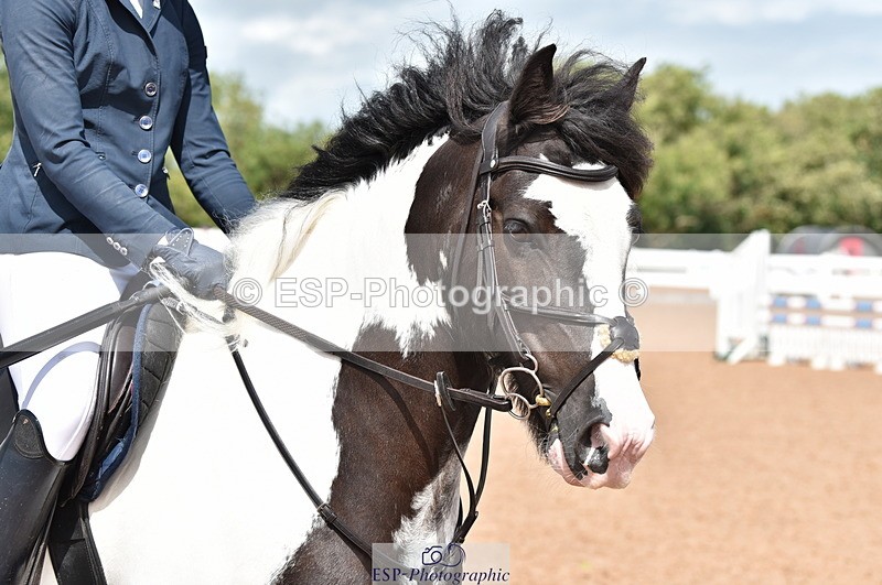 230812A-125618-09330 - Cls 27 85cm Amateur Qualifier