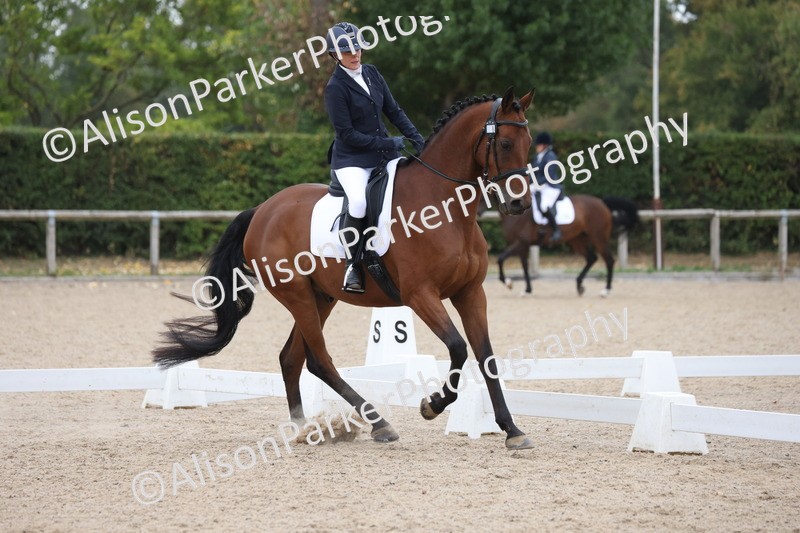 20250820-0382 - Class 11 - My Quest Novice 3