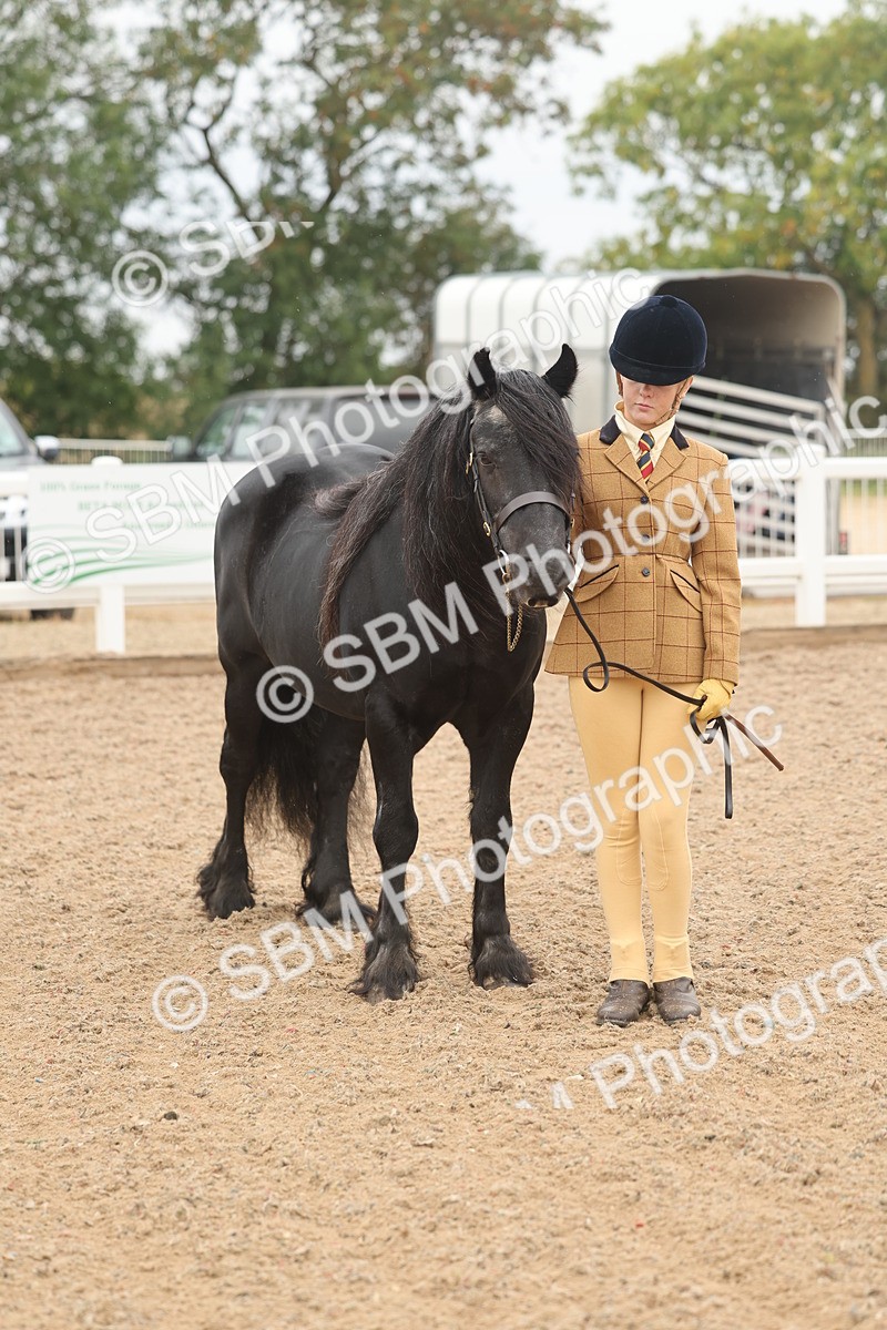 SBM_00545 - Class 13 Young Handler