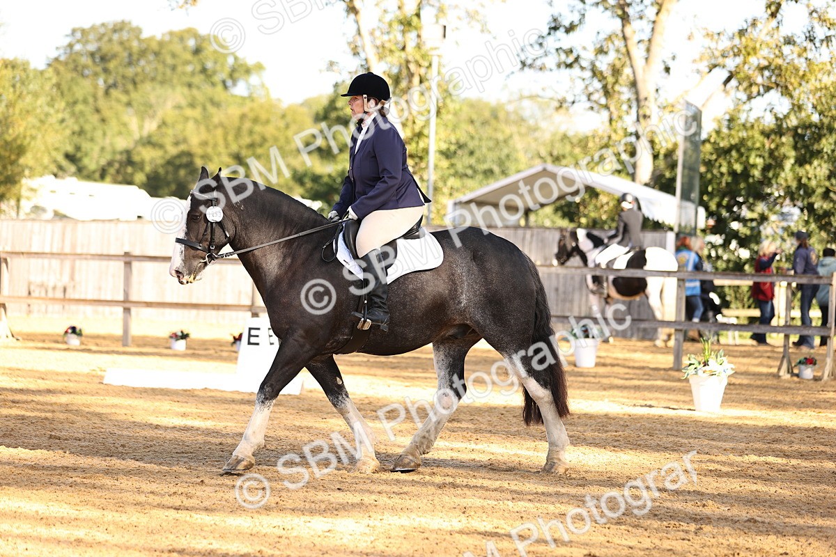SBM_01417 - D1 - Small Tour Championship