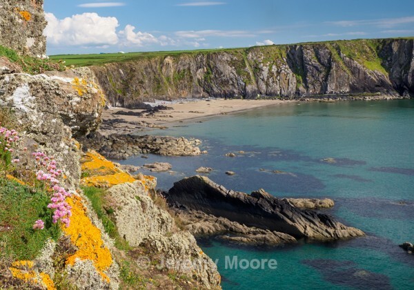 P181 - Pembrokeshire p/c catalogue