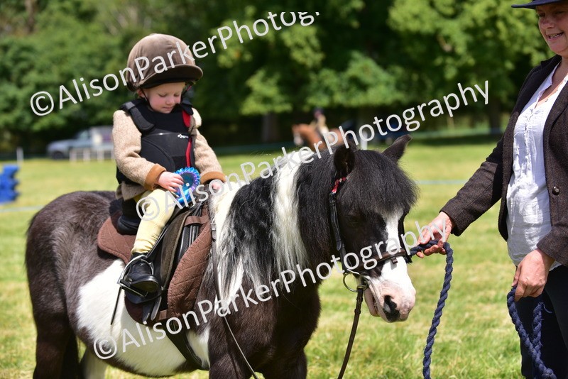 20260614-1336 - Class 11a - Lead Rein Pony (Unplaited)