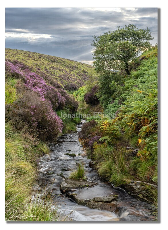 Black Brook - Lancashire