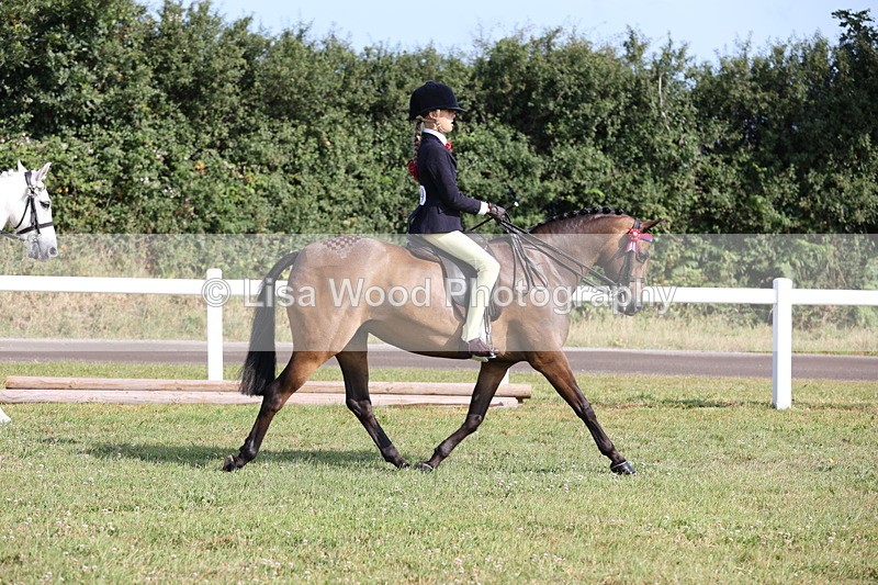 JPP_0639 - Class 16: Cornish Combination Young Rider