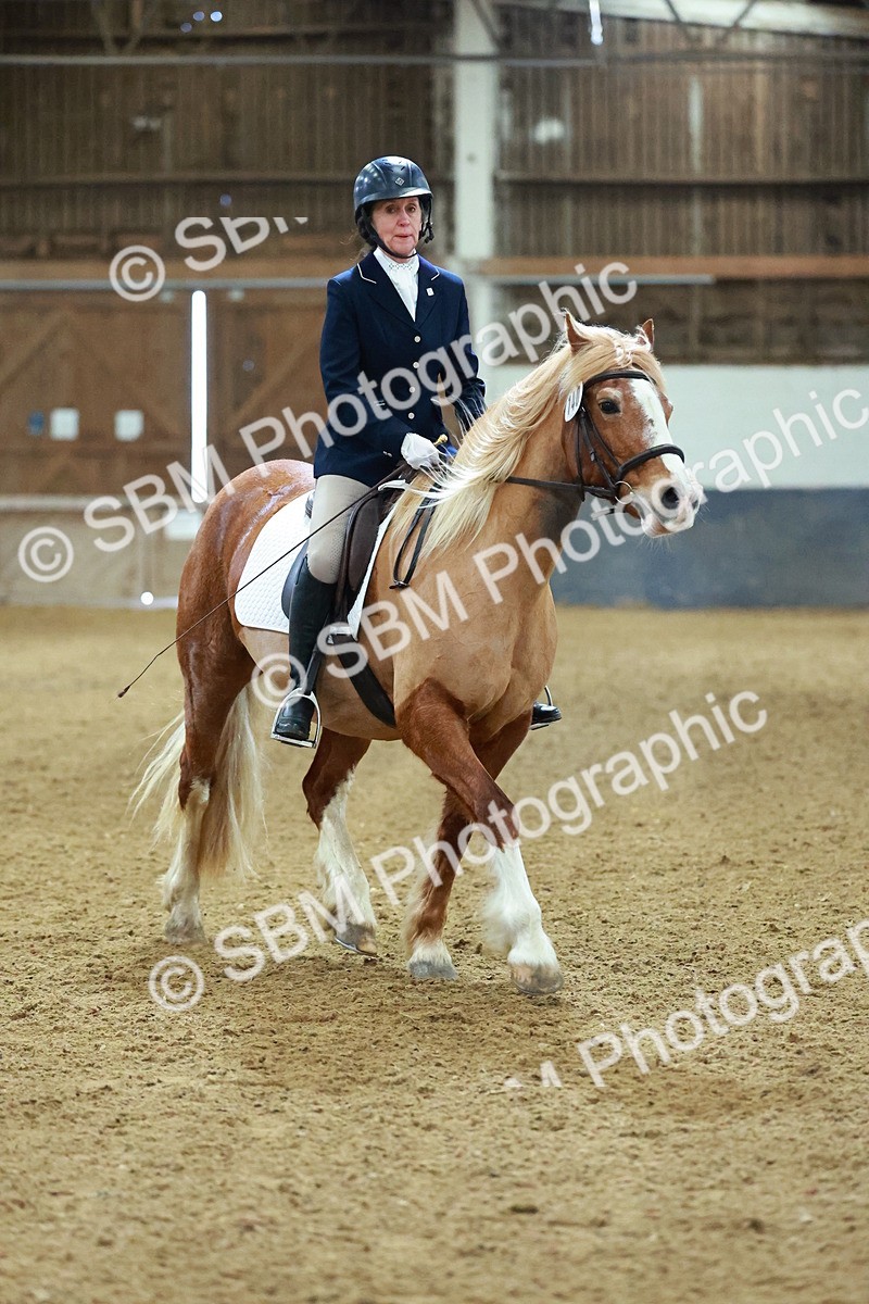 SBM_003649 - Novice 2