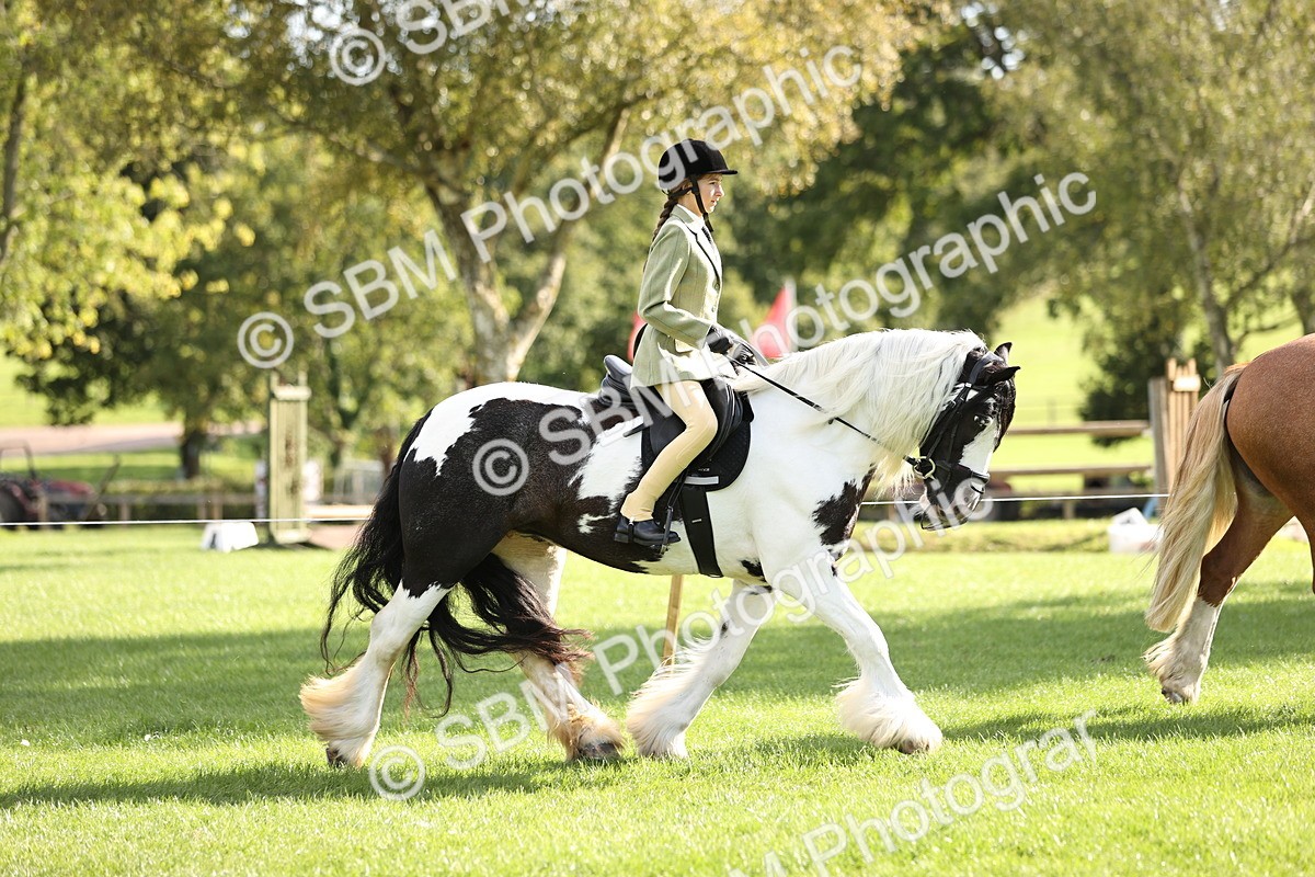 SBM_26359 - S6 - Novice & Newcomers Ridden Horse