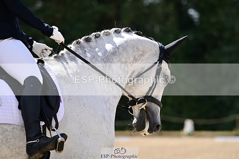 260802A-114100-05911 - Novice Silver break- end