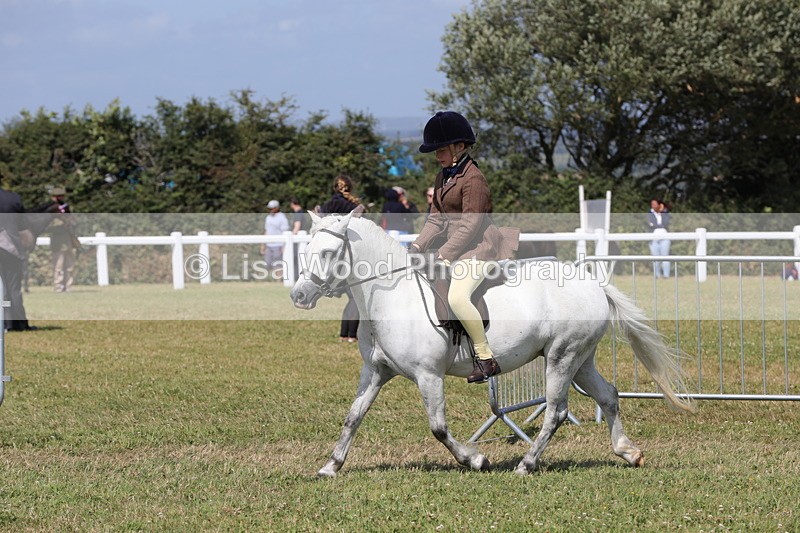 1X9A5430 - Class 37: NPS M&M First Ridden