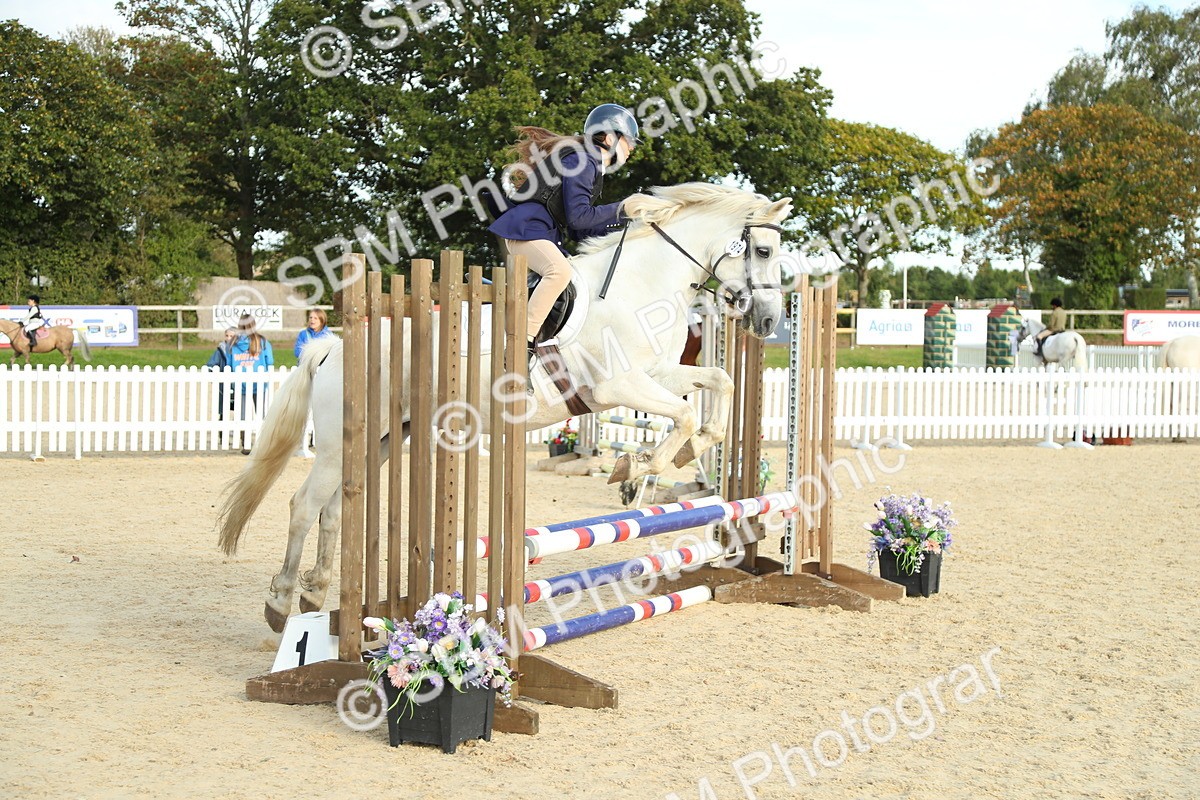 SBM_53544 - J8 - Junior Pony 65cm Championship