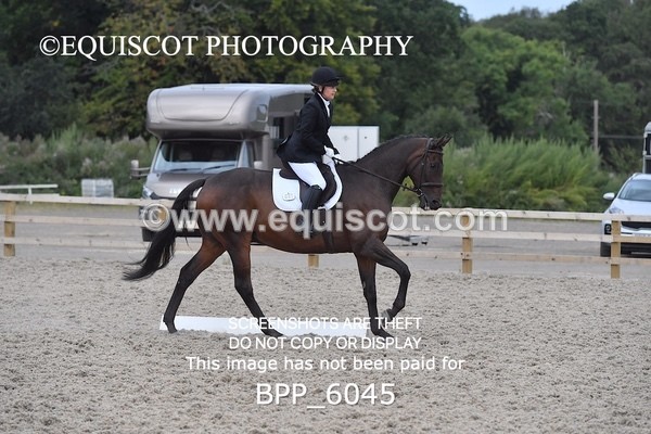 BPP_6045 - NOVICE TEST 4 + 6 LONG ARENA