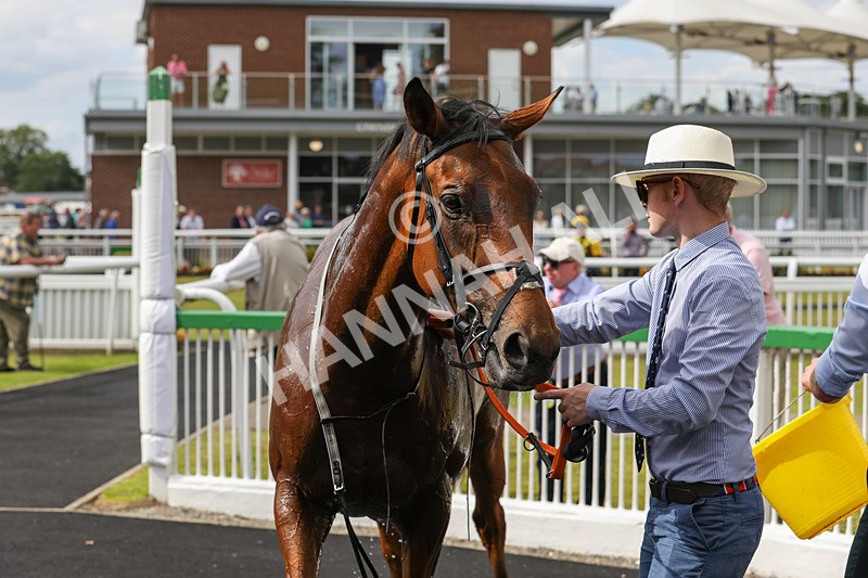 240624-Race 5-Reidh-0394 - Race 5