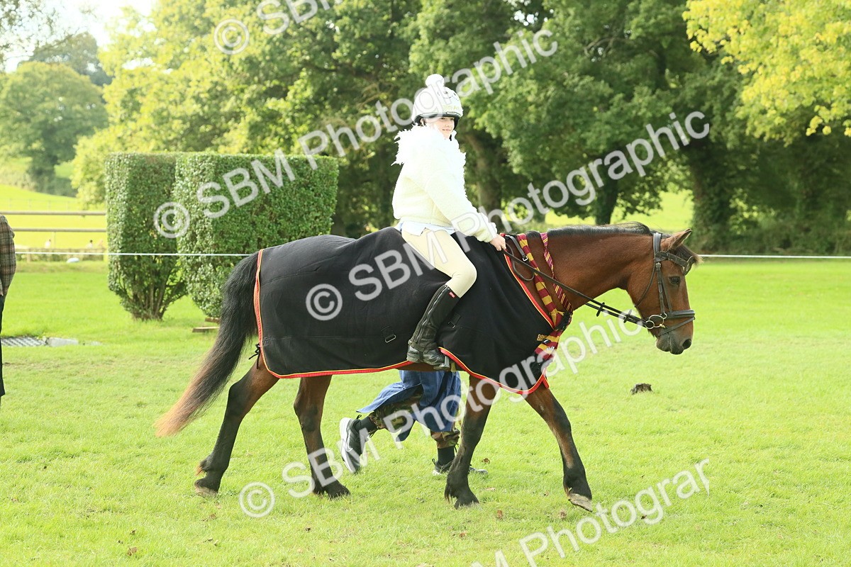 SBM_63500 - S35 - Fancy Dress Showing