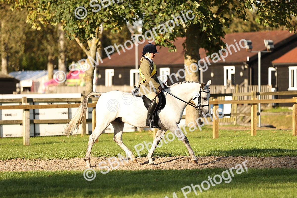 SBM_30101 - Novice & Newcomers Supreme Championship