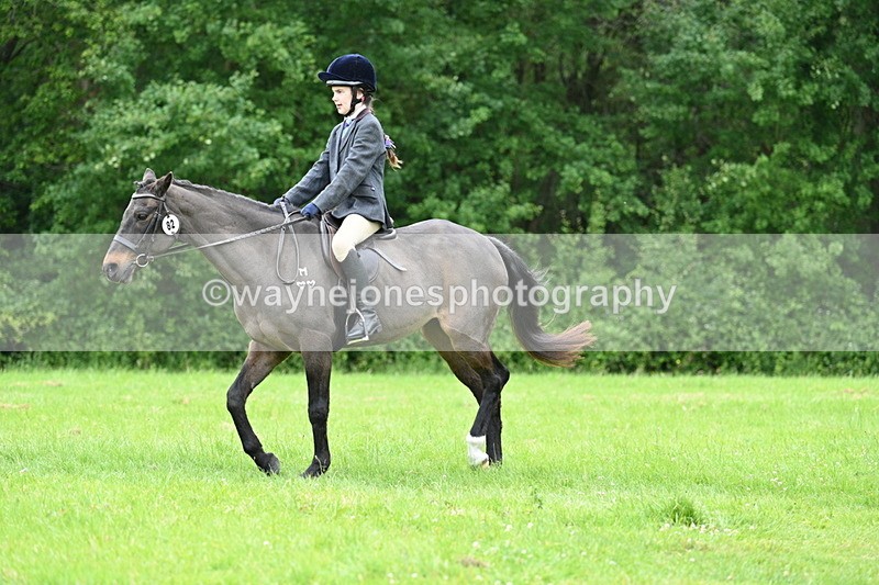 WJ7_4494 - Class 14B Prettiest Mare