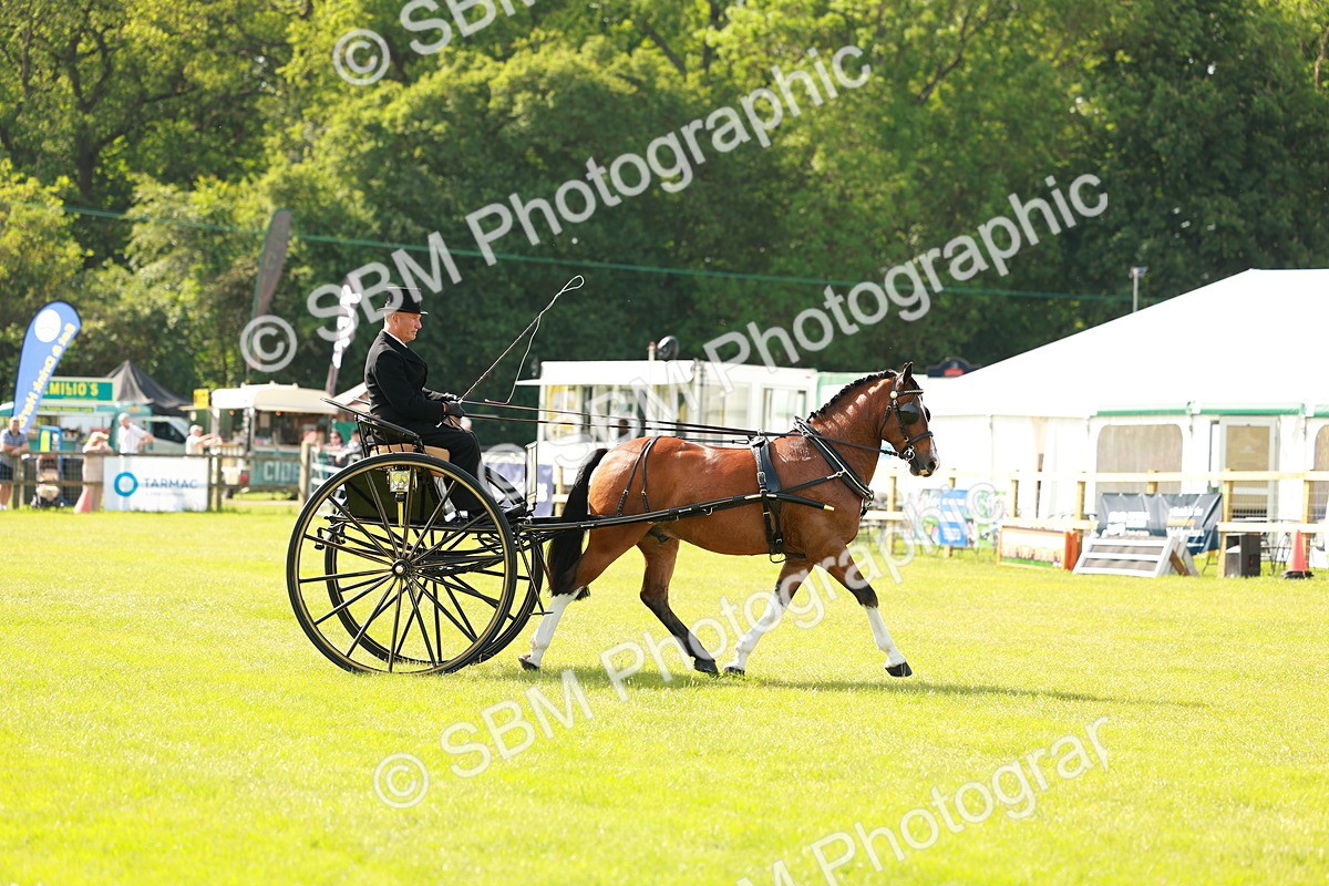 SBM_01244 - Class 2-4 - HOYS Private Driving