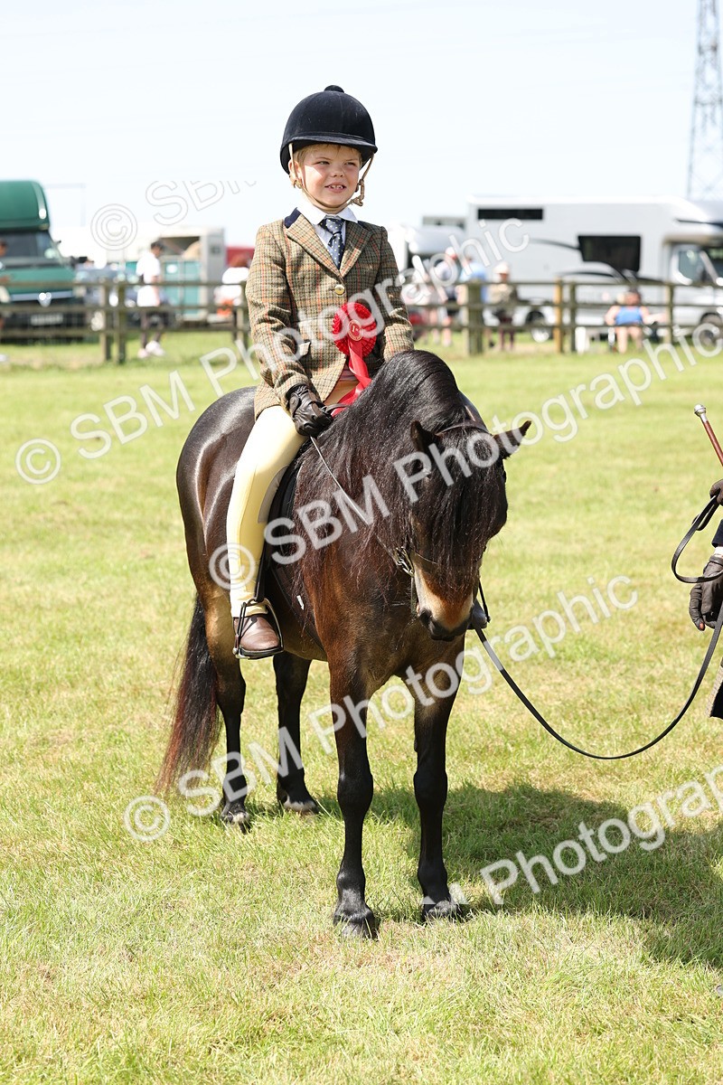 SBM_05272 - Class 24-25 - Mountain & Moorland In Hand Lead Rein and First Ridden