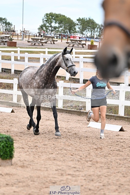 250716-135818-00831 - Trot Up 1.30 to 2.30