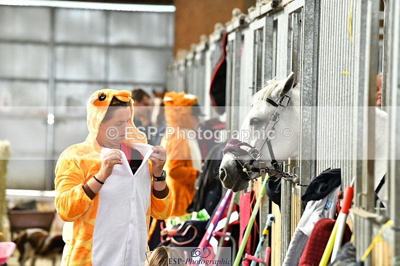 230804A-095033-02213 - Stable Shots