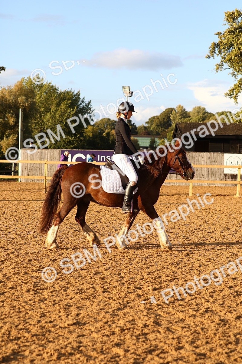 SBM_31712 - D11 - Small Tour Championship Prelim 1