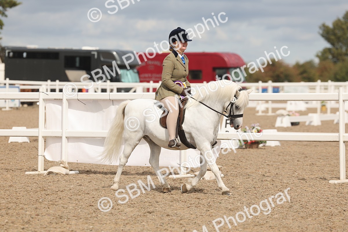 SBM_04606 - Class 19 - Horse/Pony Judge would most like to take home